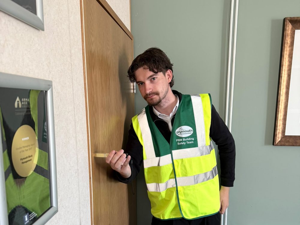 Inspecting a fire door leaf, frame and seals